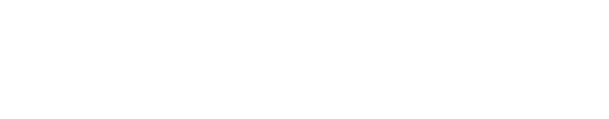 Simple Suite logo